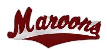Robinson High School logo